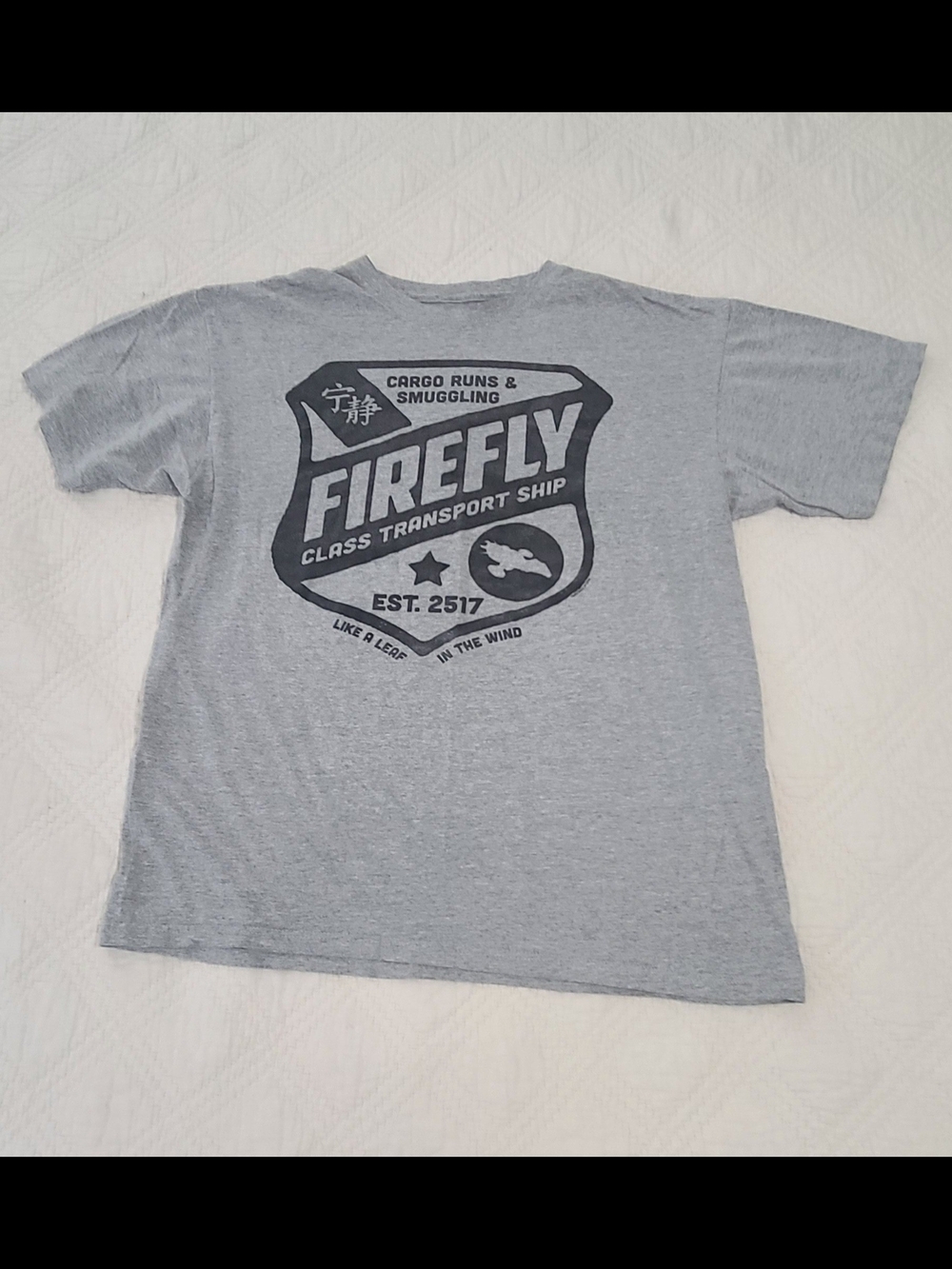 Graphic Crew Neck T-Shirt - Gray - Picture 1 of 1